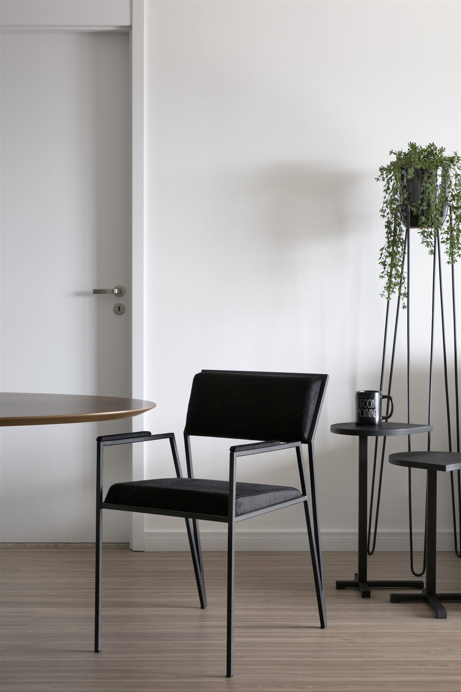 Detalhe de cadeira e planta pendente - projeto Mateus, apartamento alugado, INSIDE